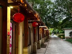 -广西壮族自治区药用植物园