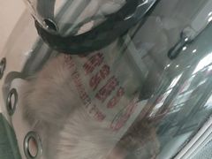 -哆趣宠物医院·眼科·内镜·急重症转诊中心(上海店)