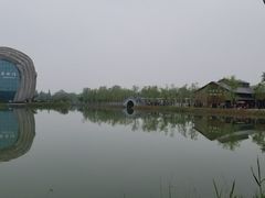 -泗洪洪泽湖湿地景区