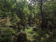 -WeLope紫金山探险公园