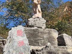 -大岭沟猕猴桃谷风景区