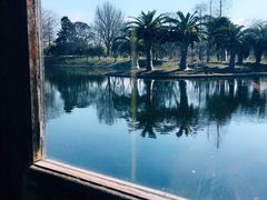 景观位-绿荫坊餐厅(共青森林公园店)