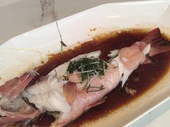 -浦江二号·独栋江景餐厅(滨江大道店)