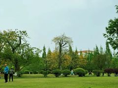 -成都南湖公园