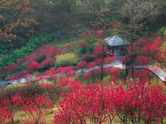 -桃花涧