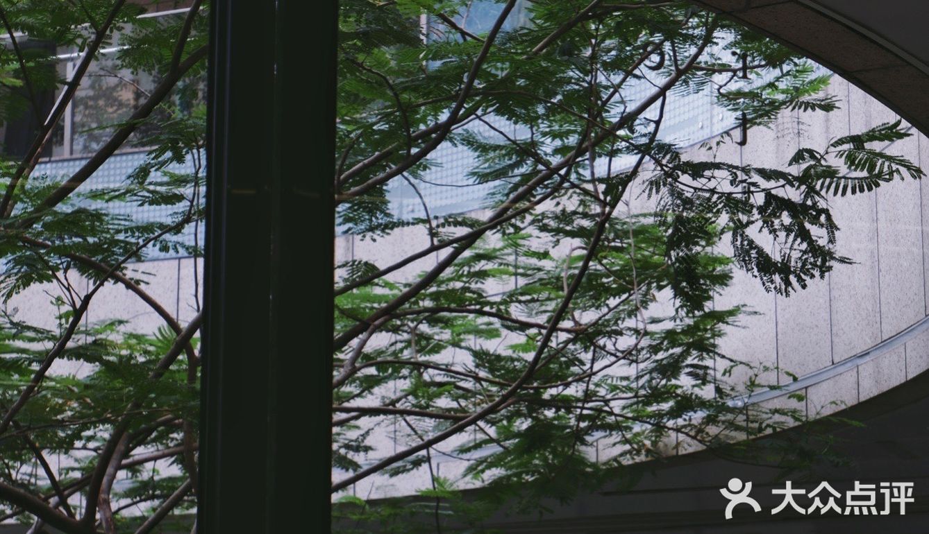龙华探咖｜HOME CAFE  月 球 表 面