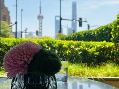 -上海苏宁宝丽嘉酒店·Cafe Bellagio西餐厅