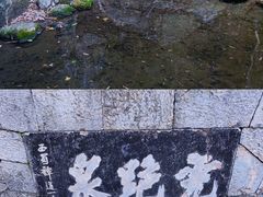 -虎跑公园