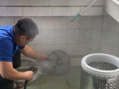 -广州啄木鸟房屋防水补漏
