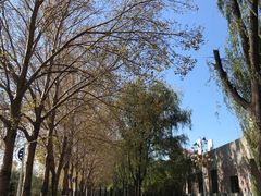 -中国建设银行哈尔滨培训中心