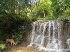 -天河潭旅游度假区
