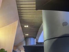 -gaga(深圳福田星河COCO Park店)