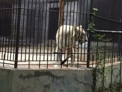 -广东茂名森林公园