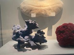 -湖南省地质博物馆