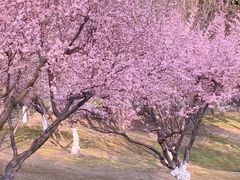 -堤角公园
