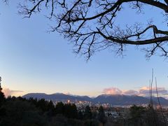 -四季餐厅
