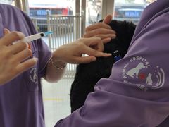 -恒幸动物医院·急重症转诊中心·神经内外科·CT核磁