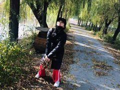 -白洋淀景区