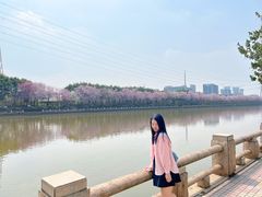 -广东财经大学(广州校区)