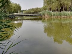 -中关村生命科学园