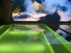 -浅深(北京北四环精品店)
