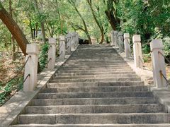 -北京凤凰岭