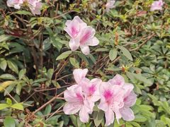 -广州长隆野生动物世界