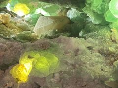 -湖南省地质博物馆