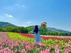 -径山花海