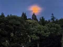 -长广溪湿地公园