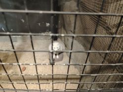 -酷嗒动物文化乐园(cutezoo西溪乐天城店)