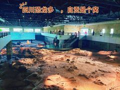 -自贡恐龙博物馆