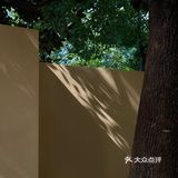 秋日的颐和路赋予了咖啡馆另一种萧瑟的味道🍂