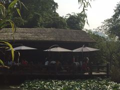 -西院1号(龙井店)