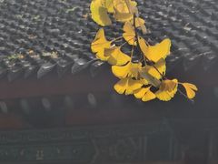 -万寿八仙宫