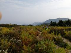-北京鹫峰国家森林公园