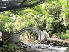 -广州市石门国家森林公园