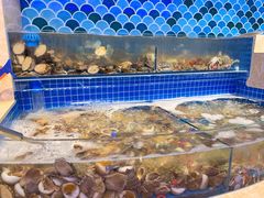 水产区-乔哥铭洋海鲜自助(皇城恒隆广场店)