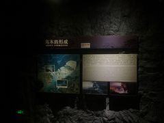 -乐山乌木文化博览苑