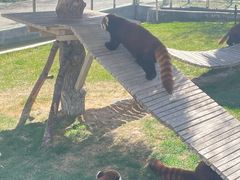 -水上乐园·欢乐世界