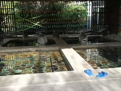 -中家鑫园温泉酒店鑫悦汤泉