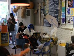 -平行世界·猫咖(首经贸店)