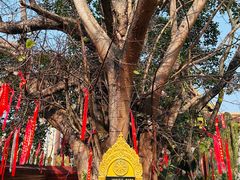 -西双版纳总佛寺