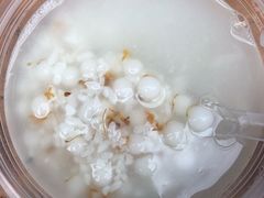 -潘玉麟糖粥