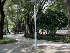 -荔湾湖公园