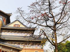 -广州中山纪念堂