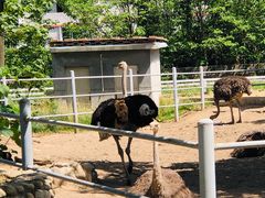 -西安秦岭野生动物园