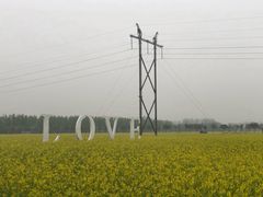 -兰陵国家农业公园