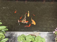 -燕北云山·农家菜·灶台鱼(密云溪翁庄店)