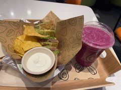 -油梨树 AVOCADO TREE(亮马桥店)